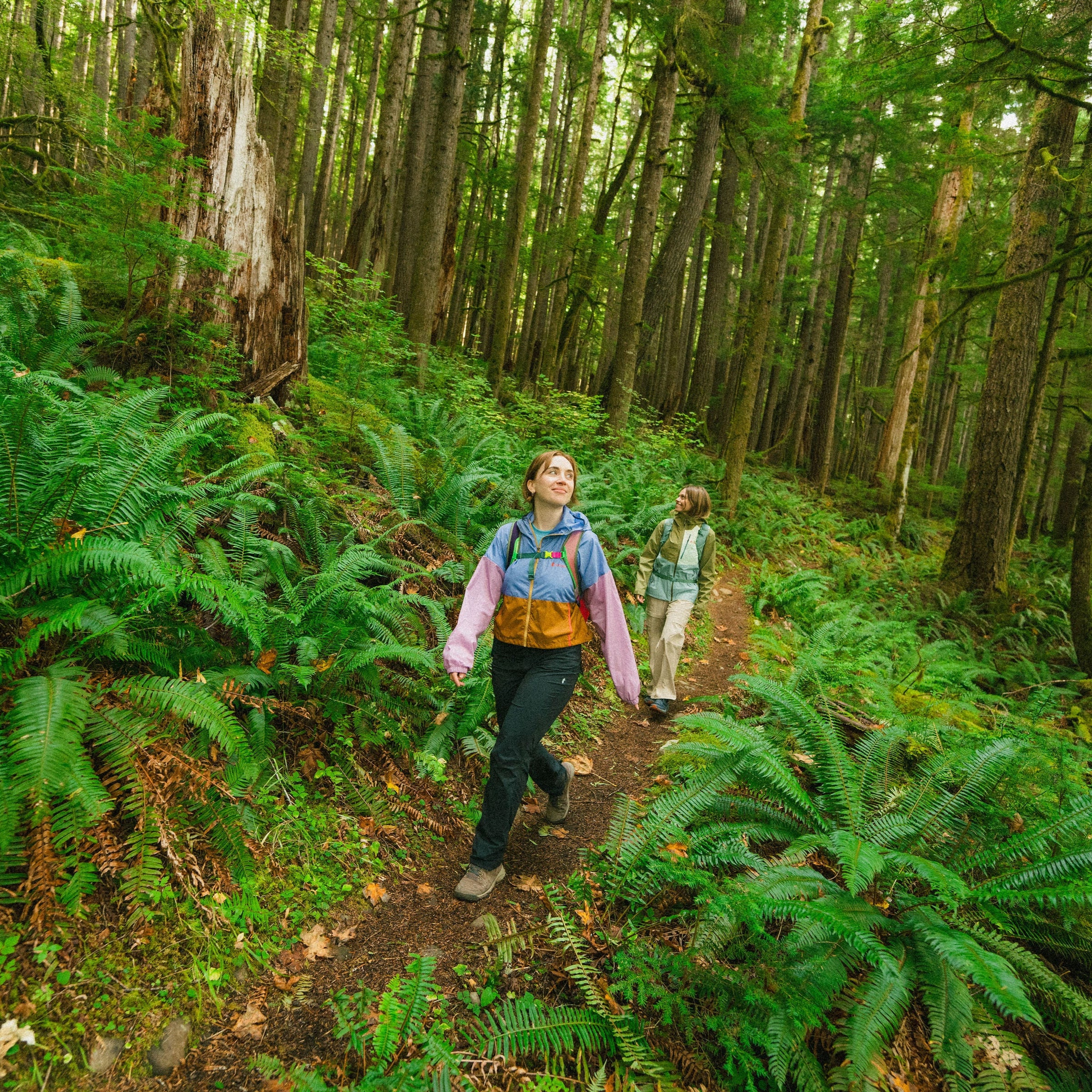 Teca Crop Jacket - Women's - Image 19